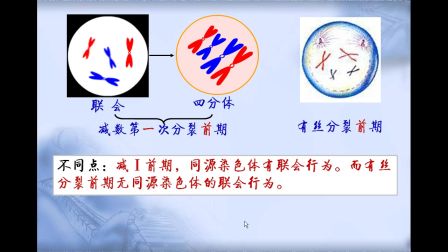 《減數(shù)分裂過程中染色體變化》高一生物-安市五環(huán)中學(xué)-祁鐵軍-陜西省首屆微課大賽