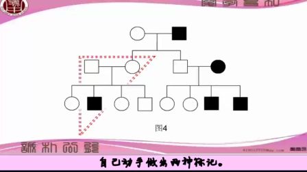 《人類單基因遺傳病系譜的分析》高一生物-寶雞市陳倉區(qū)虢鎮(zhèn)中學(xué)-龐會(huì)平-陜西省首屆微課大賽