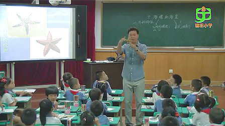 《海螺和海星》小學一年級美術錦田小學田楓