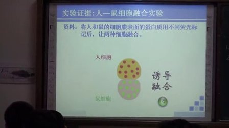 高一生物《細胞膜的流動鑲嵌模型》教學視頻-韋琳琳-2014年中南六?。▍^(qū)）生物教學研討會