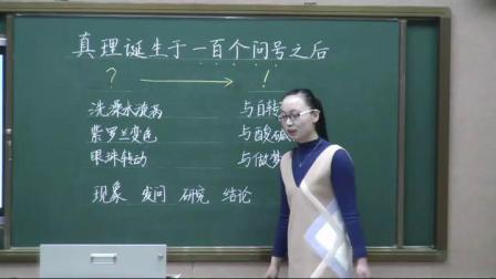 《20　真理誕生于一百個(gè)》人教版小學(xué)語(yǔ)文六下課堂實(shí)錄-山東濟(jì)南市_槐蔭區(qū)-崔晶