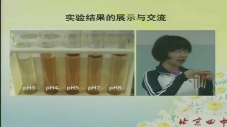 中學(xué)生物高一《用比色法探究pH對酶活性的影響》說課 北京張瑾（北京市首屆中小學(xué)青年教師教學(xué)說課大賽）