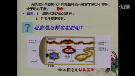 《內(nèi)環(huán)境穩(wěn)態(tài)的重要性》教學課例（人教版高二生物,，平岡中學：程彩云）