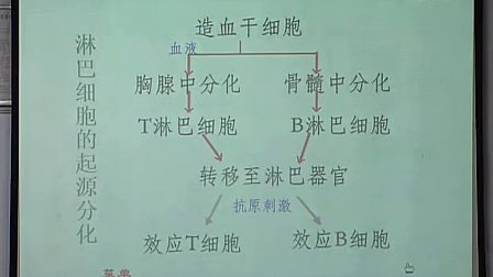 高中生物經(jīng)典案例《免疫》江陵中學