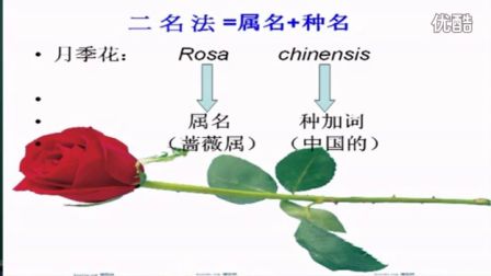 初中生物人教版八年級《生物的命名與分類》名師微型課 北京譚榮譽