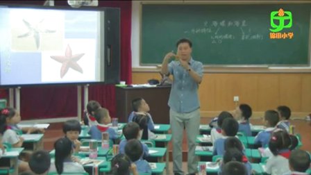 深圳2015優(yōu)質(zhì)課《海螺和海星》嶺南版美術一下,，錦田小學：田楓