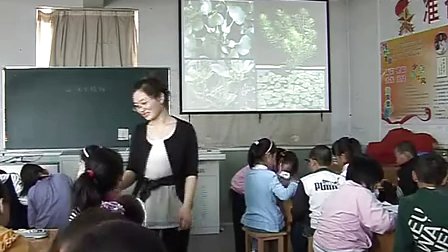 小學(xué)三年級科學(xué)上冊《水生植物》教學(xué)視頻