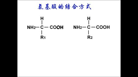 《氨基酸分子結(jié)構(gòu)及其脫水縮合》高一生物-子洲縣三中-郭瑜瓊-陜西省首屆微課大賽