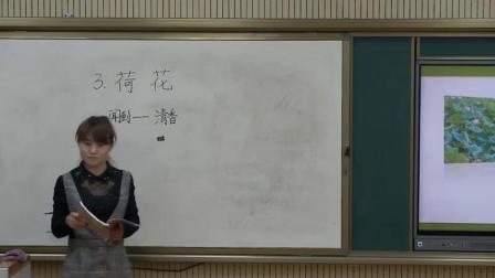 《3 荷花》部編版小學(xué)語文三下教學(xué)視頻-陜西咸陽市_淳化縣-陳娜