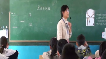 《7 鹿角和鹿腿》部編版小學(xué)語文三下教學(xué)視頻-河北滄州市_滄縣-潘振梅