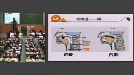 人教2011課標版生物七下-4.3.1《呼吸道對空氣的處理》教學(xué)視頻實錄-林青