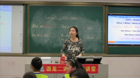 科普版小學(xué)英語(yǔ)四下《Lesson 5 What are these》河南高鑫洛