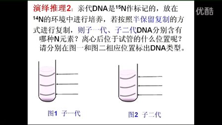 2015優(yōu)質(zhì)課《DNA的復制》高中生物人教版必修二3.3-深圳外國語學校：蔡濤