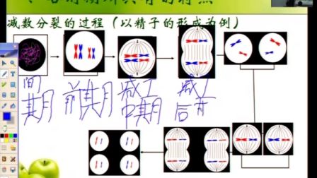 第五屆電子白板大賽《減數(shù)分裂和有絲分裂比較》（人教版生物高一,，河北邢臺(tái)外國語學(xué)校：李艷菊）