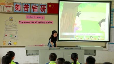 外研版(三起)小學(xué)英語六下Module3  Unit 2 The cows are drinking water.廣西粟琴琴