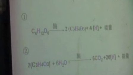 高中生物必修課《有氧呼吸與無(wú)氧呼吸》河北省,2014年度全國(guó)部級(jí)優(yōu)課評(píng)選入圍優(yōu)質(zhì)課教學(xué)視頻