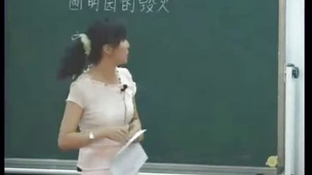 《圓明園的毀滅》語文教學(xué)視頻,趙雁,首屆全國中小學(xué)公開課電視展示活動(dòng)一等獎(jiǎng)